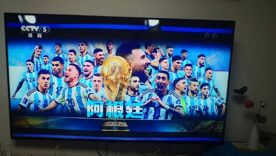 世界杯决赛直播完整版