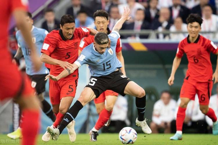 韩国vs加纳足球直播