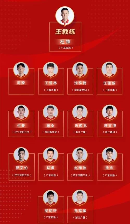 2012中国男篮名单