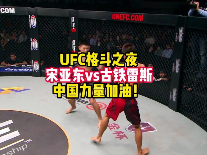 UFC格斗直播(中文)